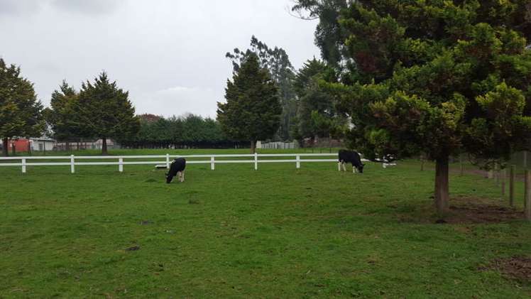 3 Dumfries Road Tokoroa_10