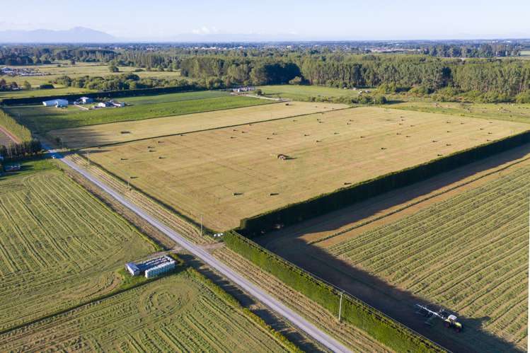 Wilkins Road Tinwald_17