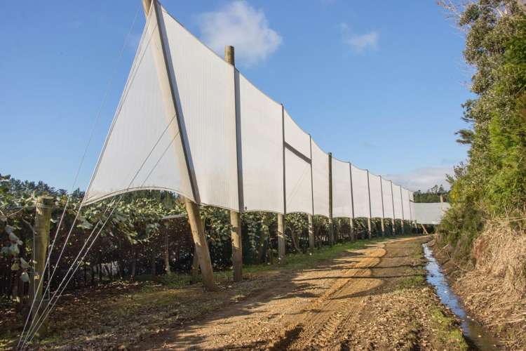 175 Busby Road Katikati_13