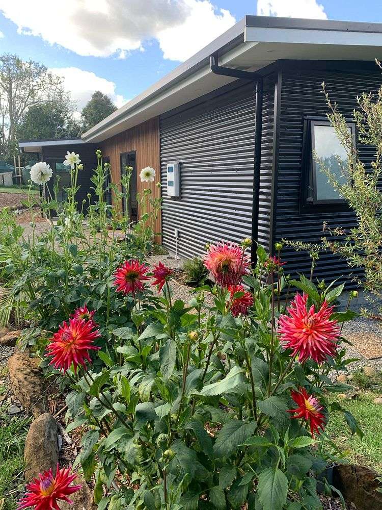 43 Darwin Road Kerikeri_4