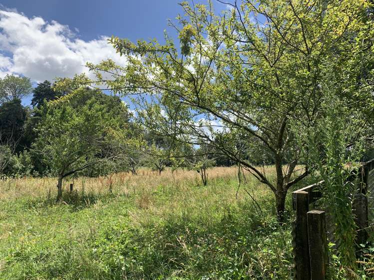 2121 Mountain Road Tariki_16