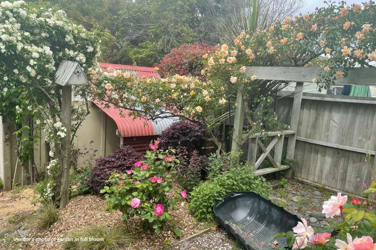 63 Inkerman Street Renwick_43