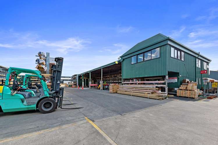 14 Birch Avenue Tauranga_7