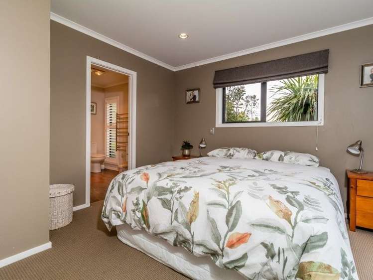491 Dartmoor Road Puketapu_12