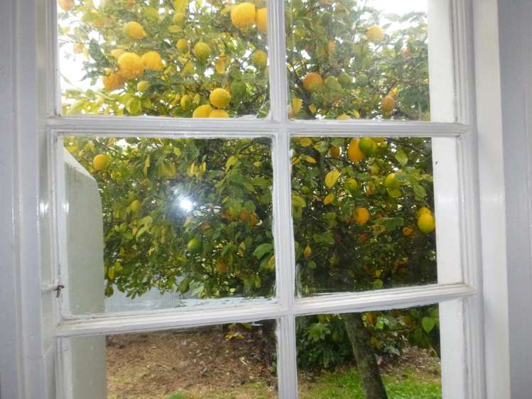 98 Talbot Street Geraldine_4