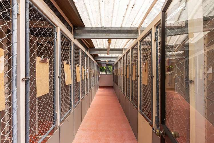 2C Kaitoke Loop Road Kaitoke_18