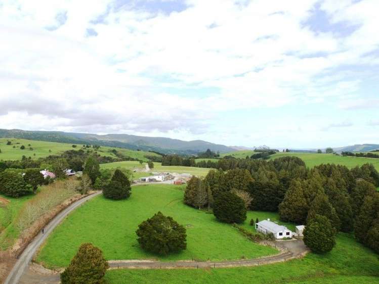 684 Trounson Park Road Dargaville Surrounds_12