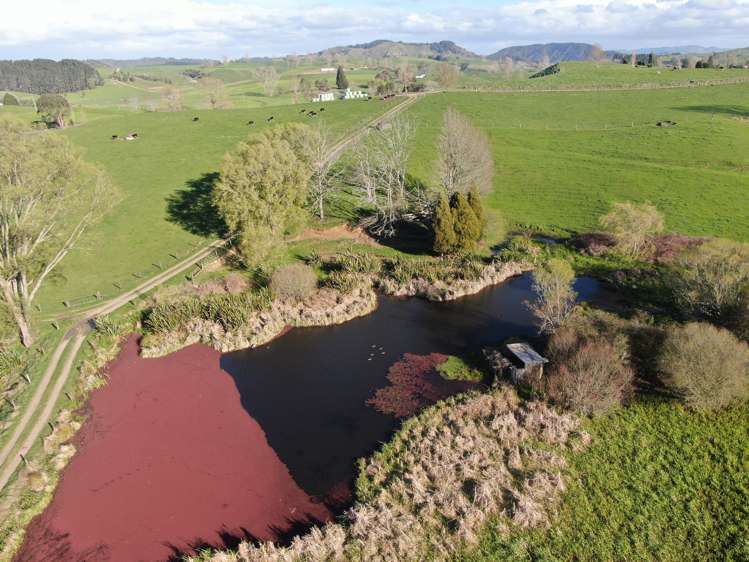 406 Aria Road Piopio_34