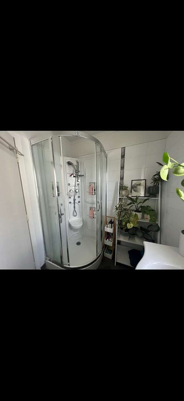 Address withheld Mount Roskill_14