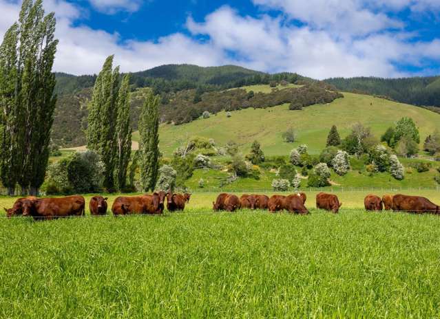 2323 Motueka Valley Highway Ngatimoti_1