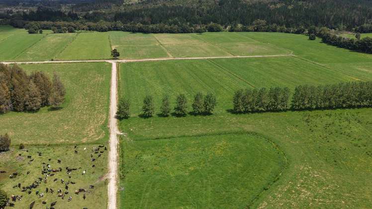 268 Punakitere Road Kaikohe_7