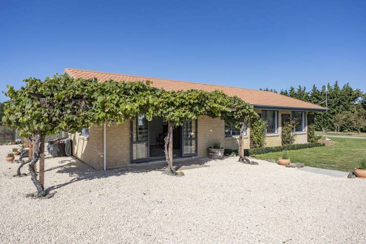 206 Mount Brown Road Broomfield_6