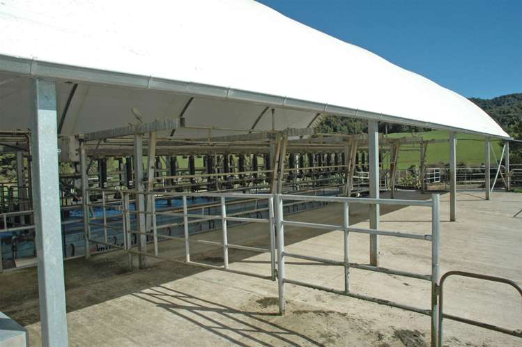 969 Piakonui Road Richmond Downs_4