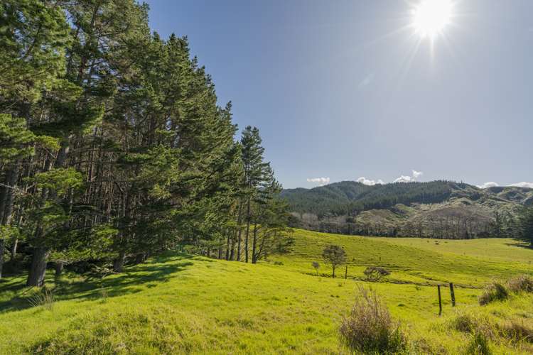 234 Opitonui Road Whangapoua_23