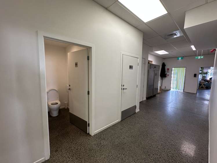 55 Clyde Road Browns Bay_6