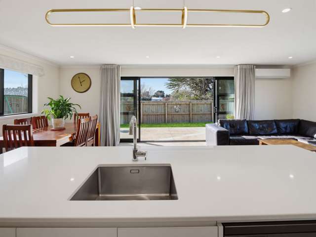 99 Fairfield Road Levin_3