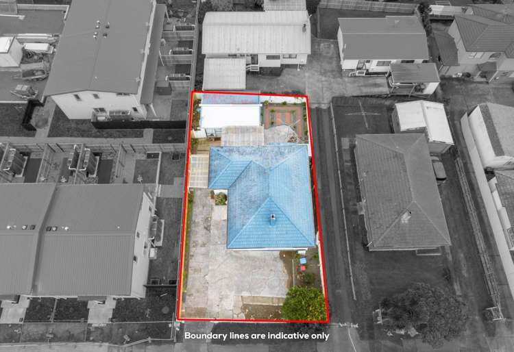 1181 Dominion Road Mount Roskill_11