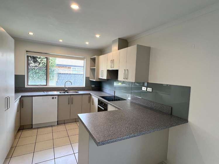 63B Nelson Street Springlands_2