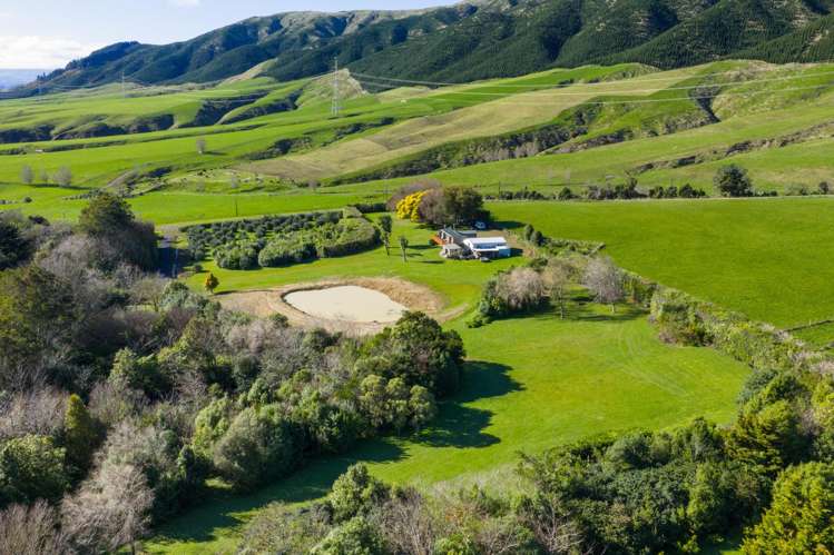 328 Millricks Line Linton_22