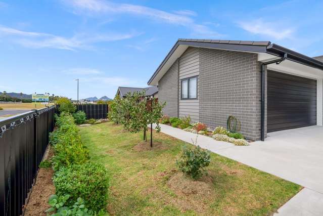 50 Plover Street One Tree Point_2