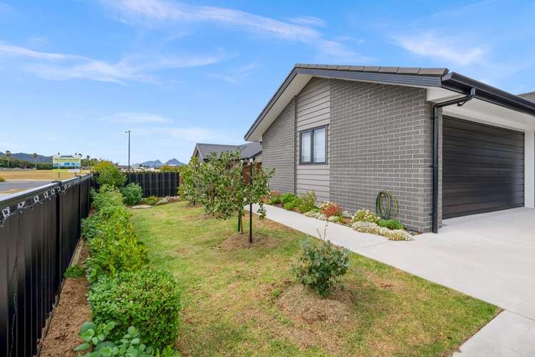 50 Plover Street One Tree Point_2