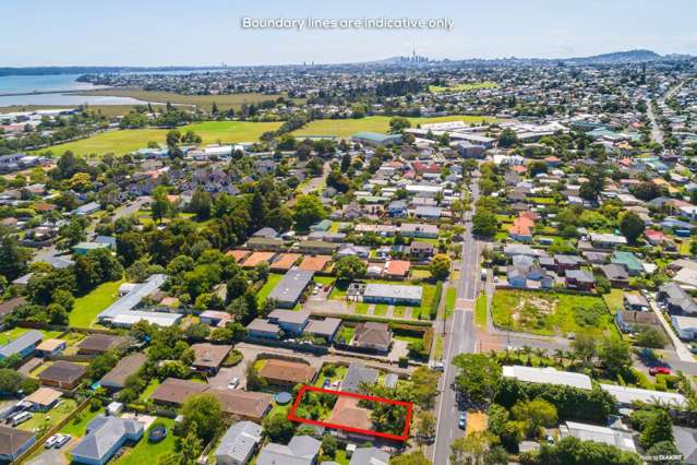 49 Riversdale Road Avondale_4