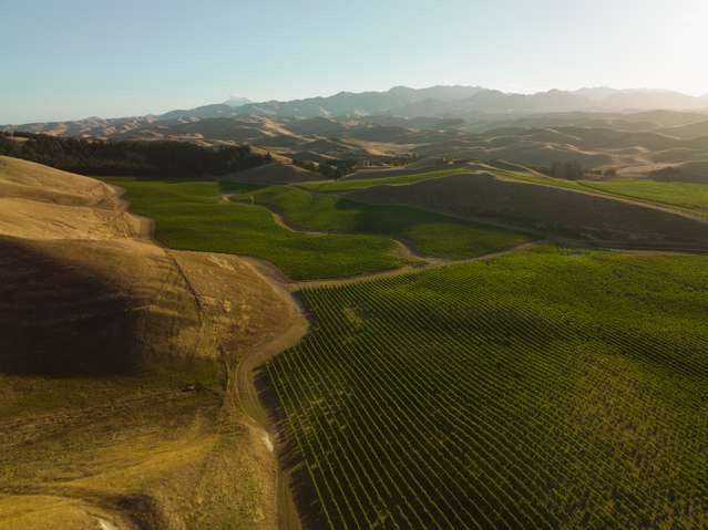 217 Caseys Road Seddon_1