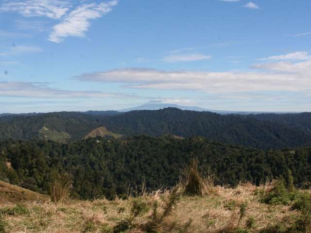 1231 Okahutiria Road Waverley_2