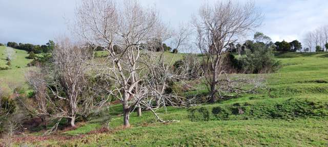 Lot/5 Wearmouth Road Paparoa_3