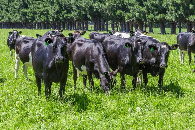 30 Tippings Road Cust_3