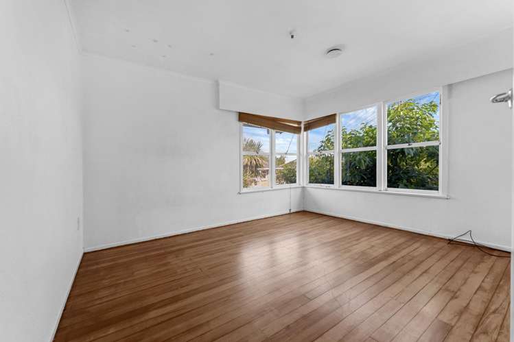 1/10 Domain Road Panmure_8