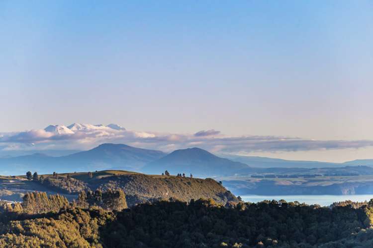 445 Otake Road Marotiri_16