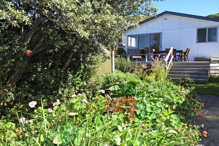 87a Whangaimoana Beach Road Pirinoa_1