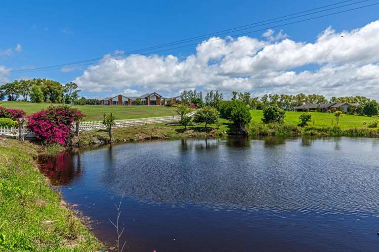 73 Ashwood Avenue Dairy Flat_22