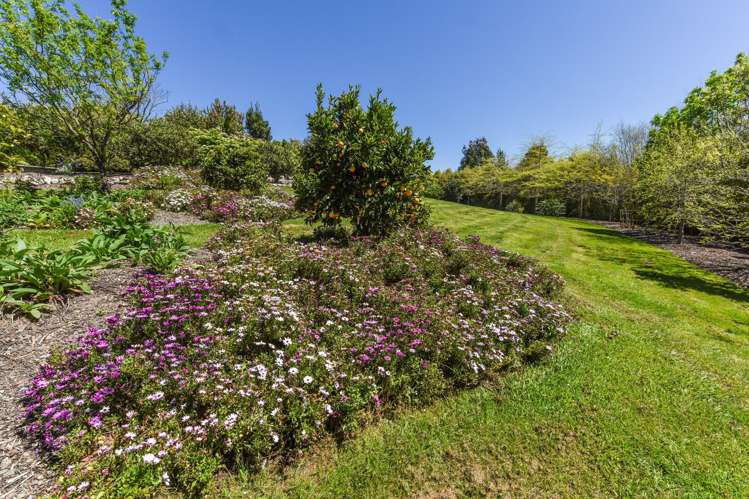 157 Stringer Road Redwood Valley_41