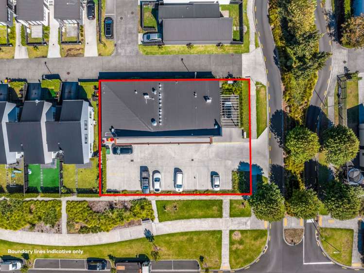 2A Swamp Kauri Grove Papakura_14