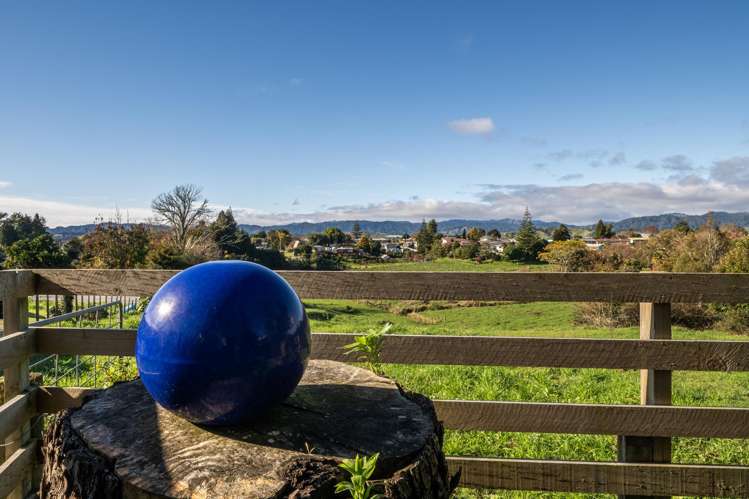 63 Grant Road Opotiki and Surrounds_34