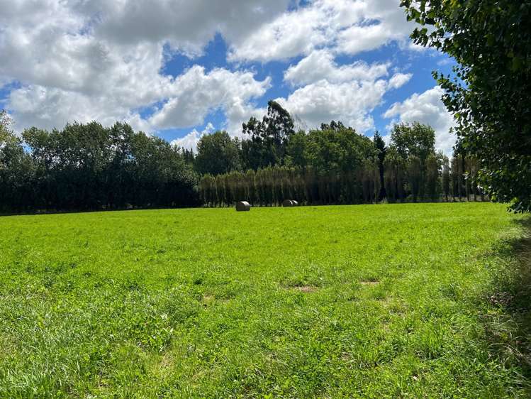 10 Burke Street Pleasant Point_11