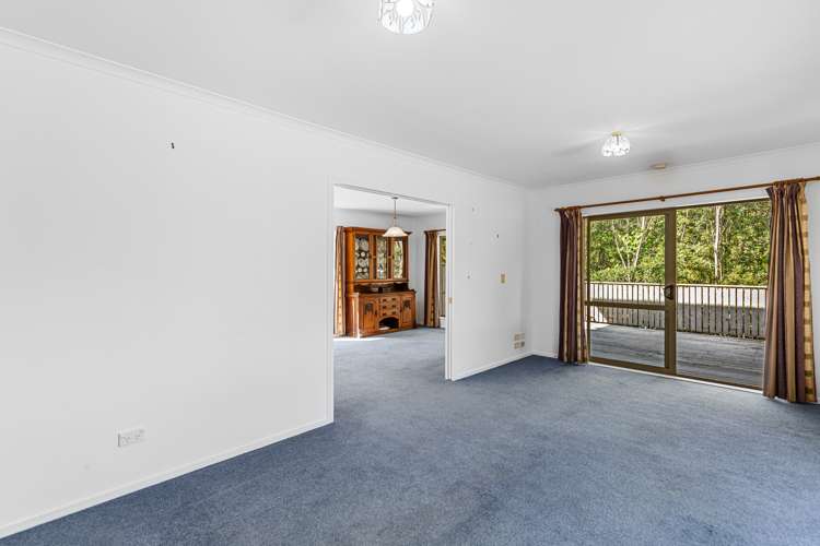 732 Tahuroa Road Morrinsville_5