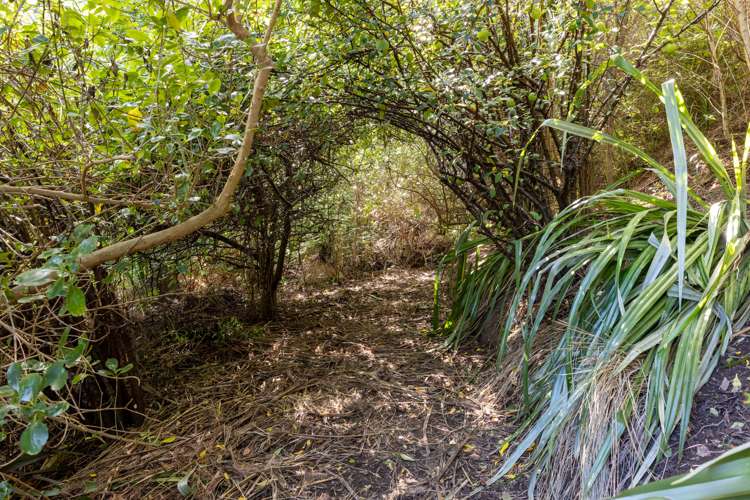 7 Dalleys Lane Lyttelton_18