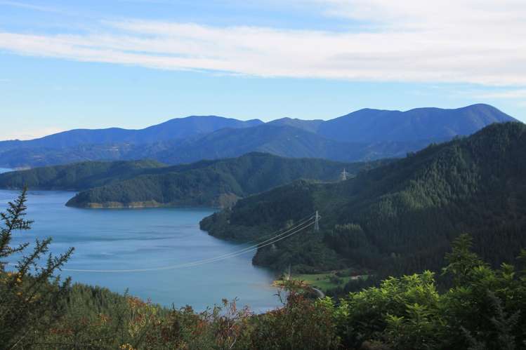 Queen Charlotte Forest, Onapua Bay Marlborough Sounds_12