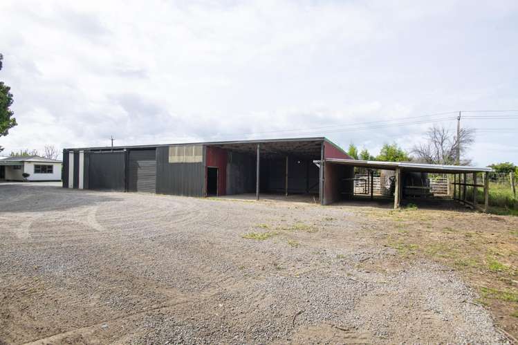 121 Bell Road Matawhero_20