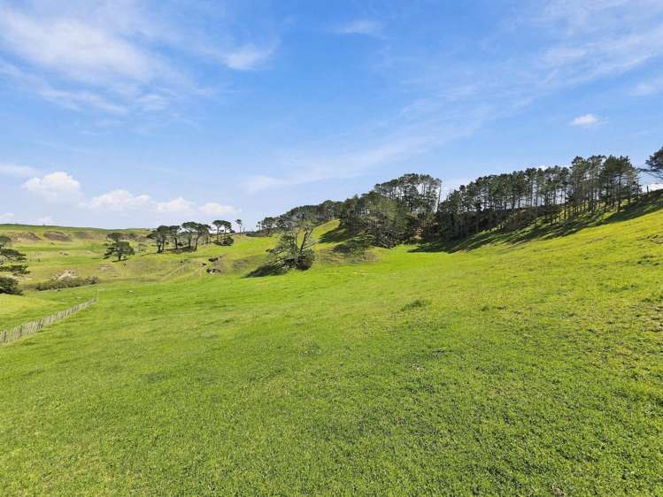 Mount Wesley Coast Road Dargaville_5