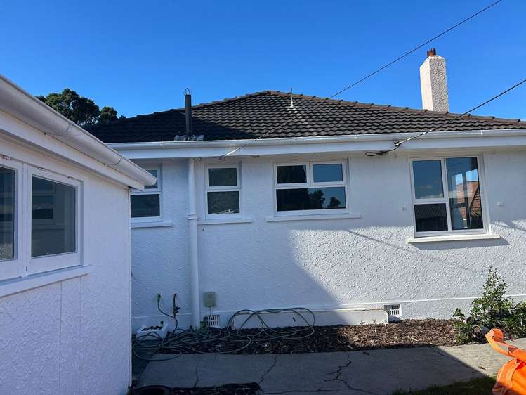 73 Mill Road Lower Vogeltown_7