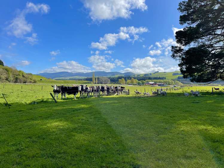 Hakataramea Highway Waimate_31