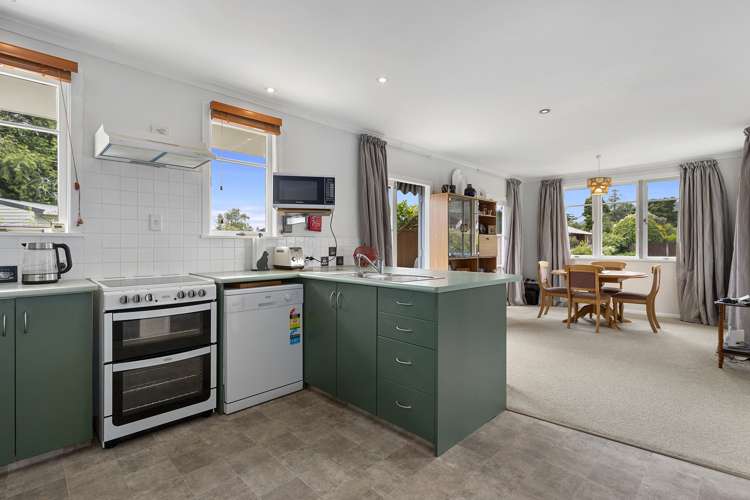 41 Clarke Avenue Te Aroha_9