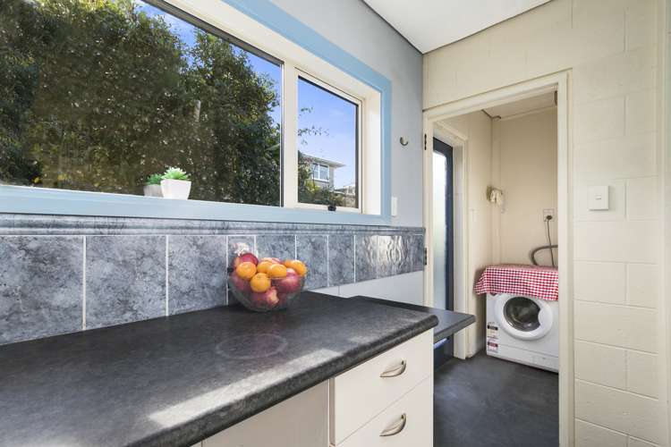 7 Pine Tree Lane Korokoro_12