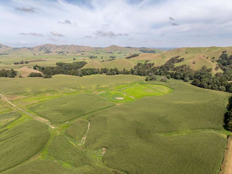 1179 Tahuna Road Ohinewai_11