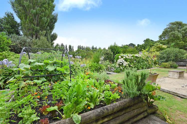 32a Mcmaster Street Greytown_15