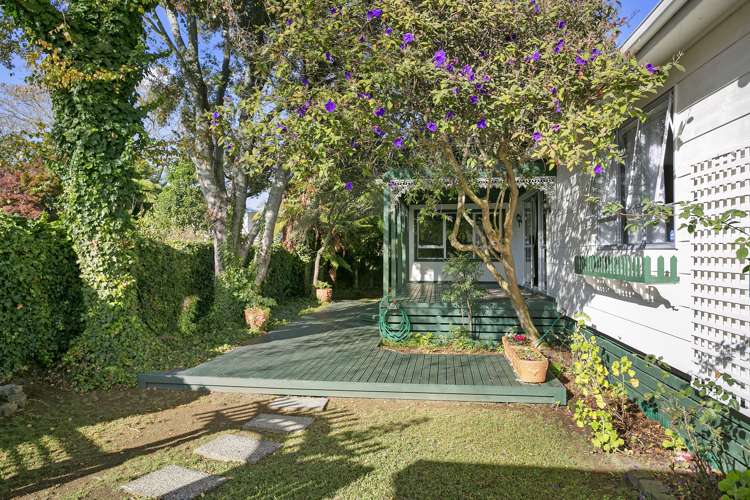 53b Taylor Street Cambridge_18